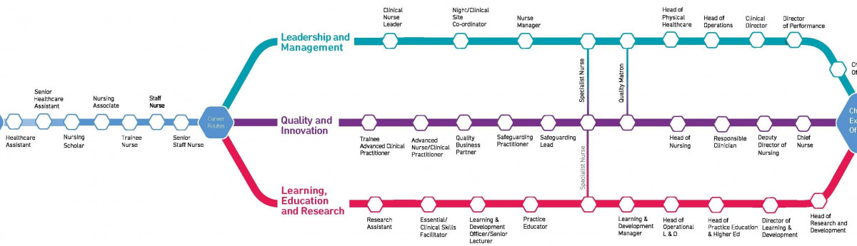 Nursing Career Journey no background cropped