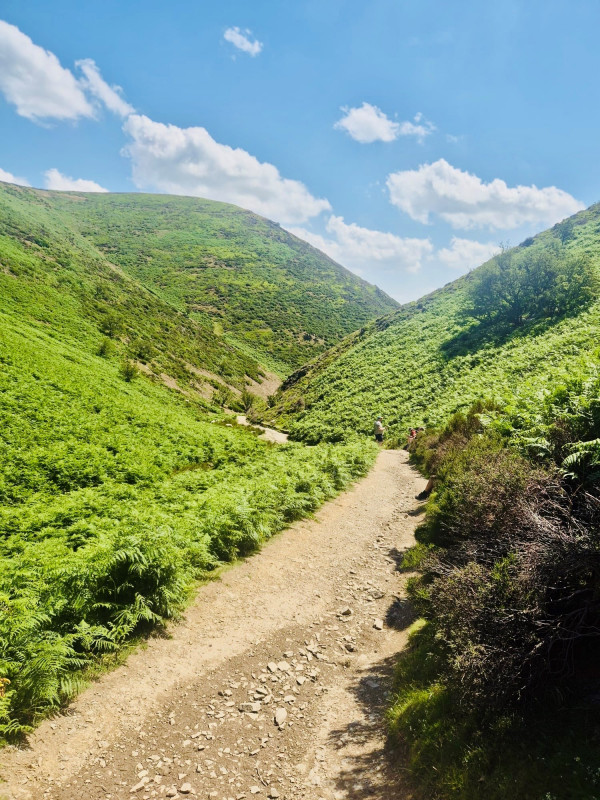 Brum story 3 View of Long Mynd