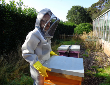 Patient finds ‘therapeutic solace’ from bee keeping at St Andrew’s