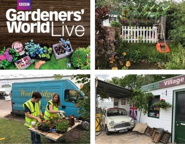 Workbridge team get ready for BBC Gardeners’ World Live!