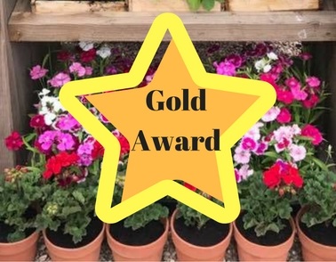 St Andrew’s team win GOLD at BBC Gardeners’ World Live