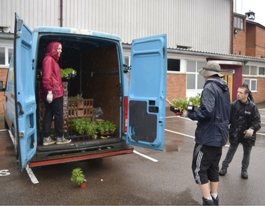 Workbridge and Northamptonshire County Cricket Club work together on bumper flower displays