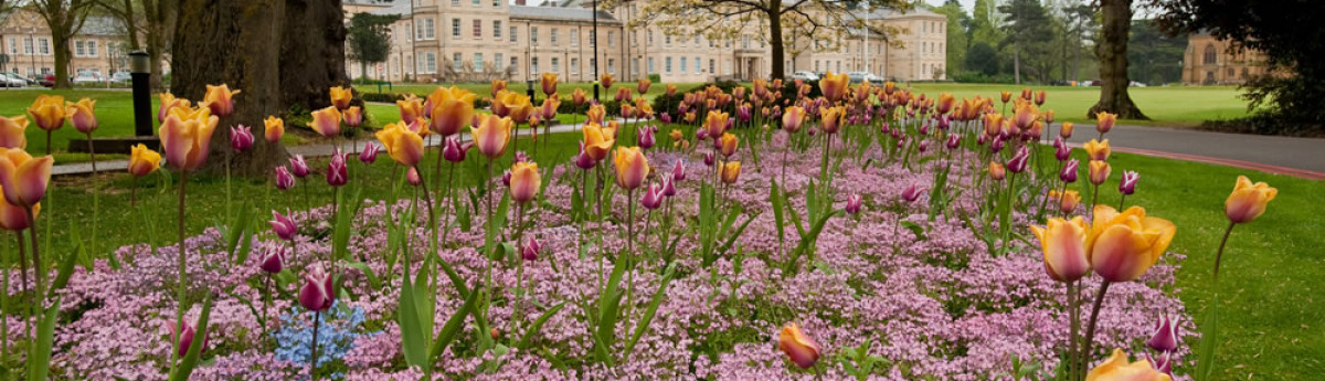 SAH MAIN BUILDING d1864 201