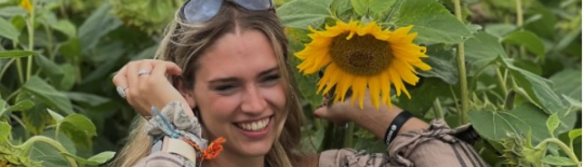 Sedona sunflowers