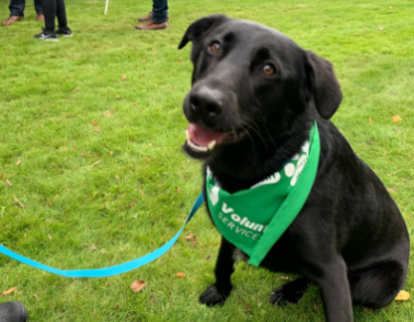 Our PAT dogs receive some treats for all their hard work