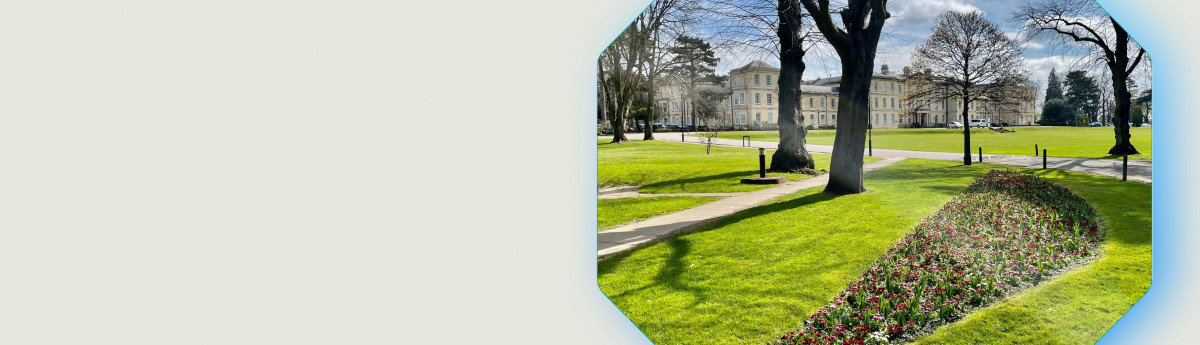 Website banner