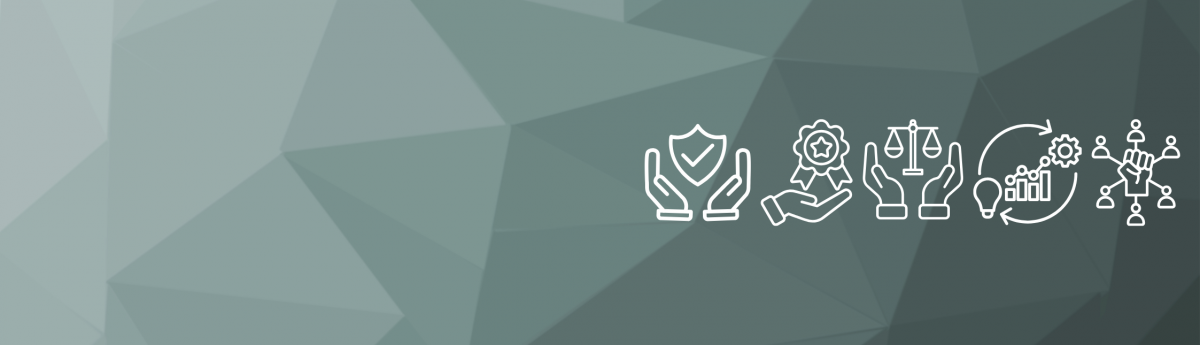 banner for values page v4