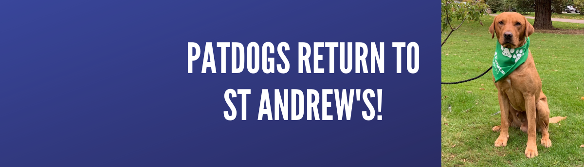 patdogs return to st andrews