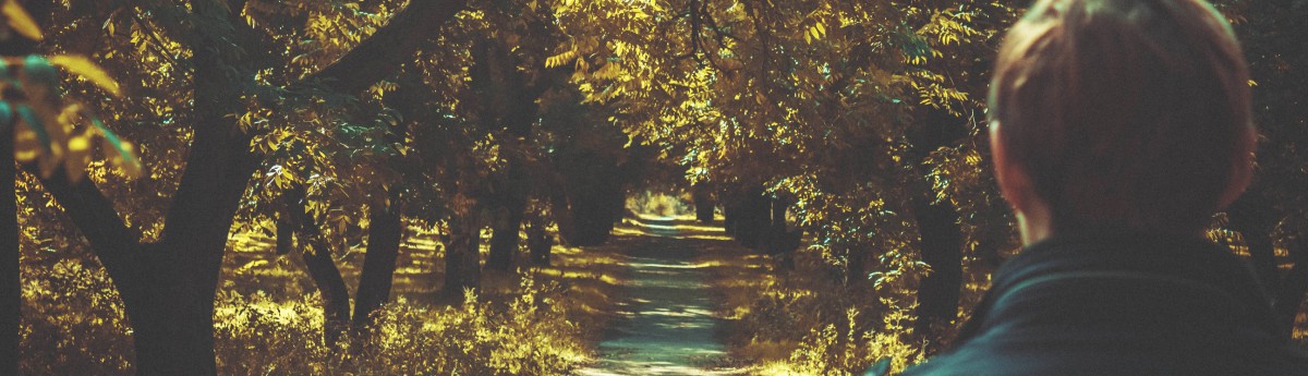 pathway trees banner2