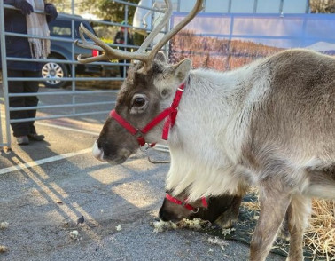 Festive patient party hailed “best ever event”